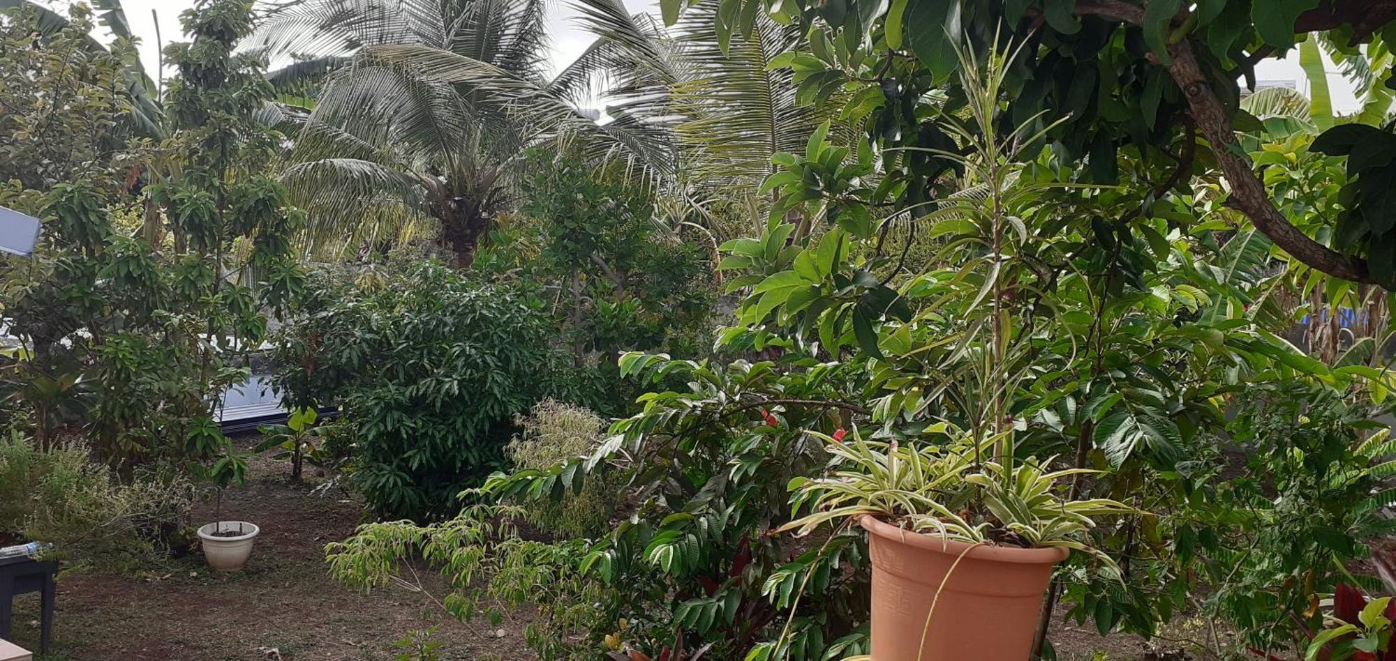 Le P'Tit Nid Cocodydy Apartment Baillif Bagian luar foto